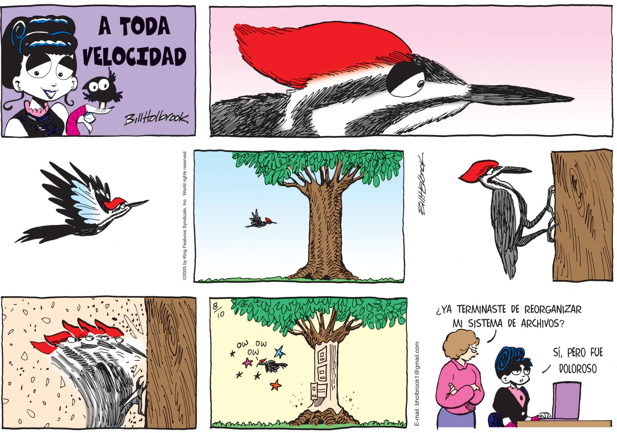 Tail OCR: A TODA VELOCIDAD Bill Holbrook ©2025 by King Features SyndicateInc. World rights reserved 8 ow ow MO E-mail: bholbrook1@gmail.com ¿YA TERMINASTE DE REORGANIZAR MI SISTEMA DE ARCHIVOS? SÍPERO FUE ? DOLOROSO A TODA VELOCIDAD Bill Holbrook © 2025 by King Features SyndicateInc. World rights reserved 8 ow ow MO E - mail : bholbrook1@gmail.com ¿ YA TERMINASTE DE REORGANIZAR MI SISTEMA DE ARCHIVOS ? SÍPERO FUE ? DOLOROSO