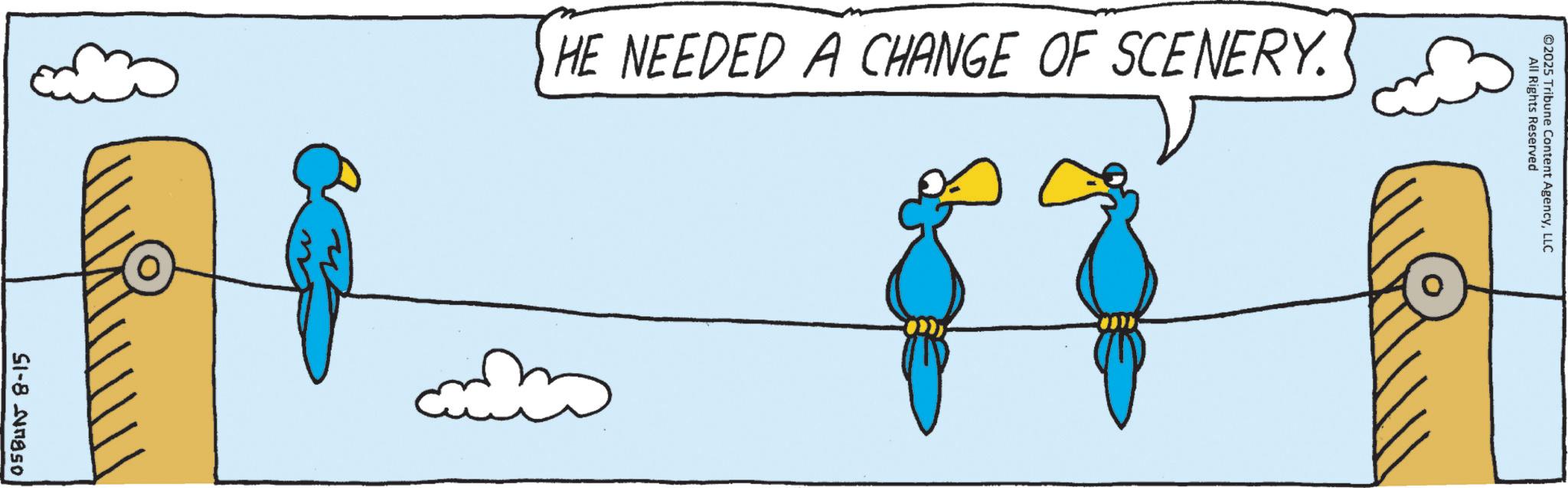 Graphics OCR: 05BUN 8-15 HE NEEDED A CHANGE OF SCENERY. ©2025 Tribune Content AgencyLLC All Rights Reserved 05BUN 8-15 HE NEEDED A CHANGE OF SCENERY . © 2025 Tribune Content AgencyLLC All Rights Reserved