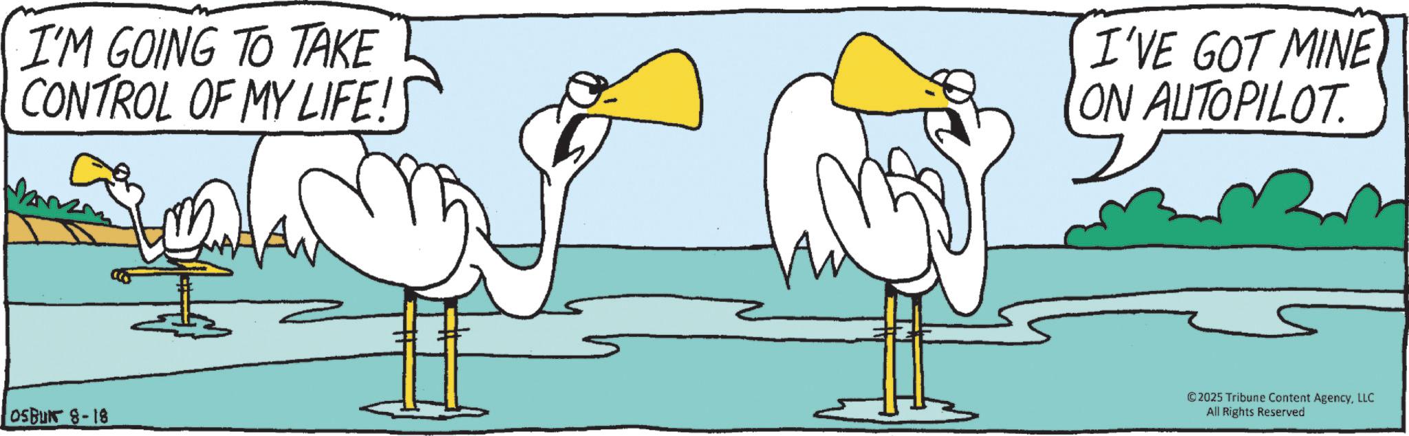 Ducks OCR: I'M GOING TO TAKE CONTROL OF MY LIFE!S I'VE GOT MINE ON AUTOPILOT OSBU 8-18 ©2025 Tribune Content AgencyLLC All Rights Reserved I'M GOING TO TAKE CONTROL OF MY LIFE ! S I'VE GOT MINE ON AUTOPILOT OSBU 8-18 © 2025 Tribune Content AgencyLLC All Rights Reserved