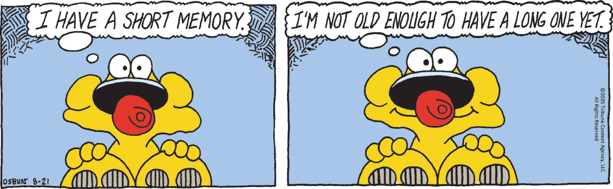 Fictional character OCR: I HAVE A SHORT MEMORY. I'M NOT OLD ENOUGH TO HAVE A LONG ONE YET. OSBUN 8-21 All Rights Reserved ©2025 Tribune Content AgencyLLC I HAVE A SHORT MEMORY . I'M NOT OLD ENOUGH TO HAVE A LONG ONE YET . OSBUN 8-21 All Rights Reserved © 2025 Tribune Content Agency