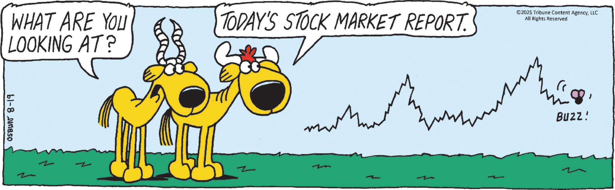Clip art OCR: WHAT ARE YOU LOOKING AT? TODAY'S STOCK MARKET REPORT. ©2025 Tribune Content AgencyLLC All Rights Reserved 61-8 Jaso z ??? BUZZ! WHAT ARE YOU LOOKING AT ? TODAY'S STOCK MARKET REPORT . © 2025 Tribune Content AgencyLLC All Rights Reserved 61-8 Jaso z ??? BUZZ !