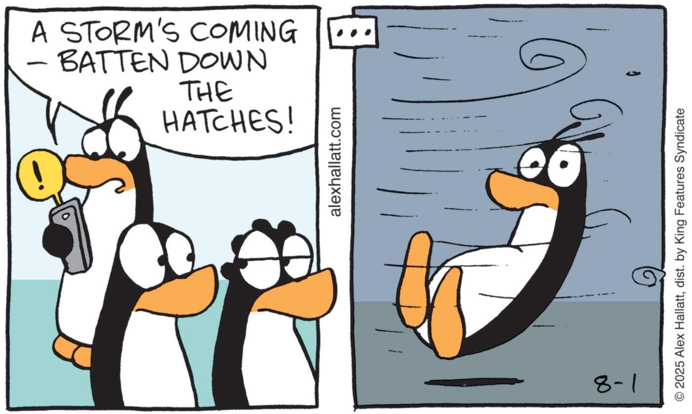 Fiction OCR: - BATTEN DOWN A STORM'S COMING THE HATCHES! alexhallatt.com ? 8-1 © 2025 Alex Hallattdist. by King Features Syndicate - BATTEN DOWN A STORM'S COMING THE HATCHES ! alexhallatt.com ? 8-1 © 2025 Alex Hallattdist . by King Features Syndicate
