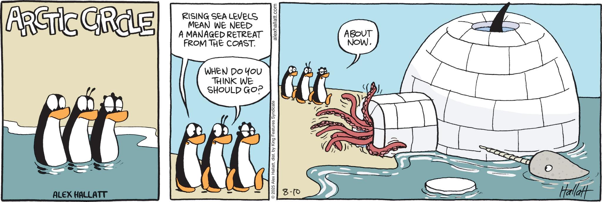 Beak OCR: ARCTIC CIRCLE RISING SEA LEVELS MEAN WE NEED A MANAGED RETREAT FROM THE COAST. WHEN DO YOU THINK WE SHOULD GO? ALEX HALLATT 2025 Alex Hallattdist. by King Features Syndicate alexhallatt.com ABOUT NOW. 8-10 Hallatt ARCTIC CIRCLE RISING SEA LEVELS MEAN WE NEED A MANAGED RETREAT FROM THE COAST . WHEN DO YOU THINK WE SHOULD GO ? ALEX HALLATT 2025 Alex Hallattdist . by King Features Syndicate alexhallatt.com ABOUT NOW . 8-10 Hallatt