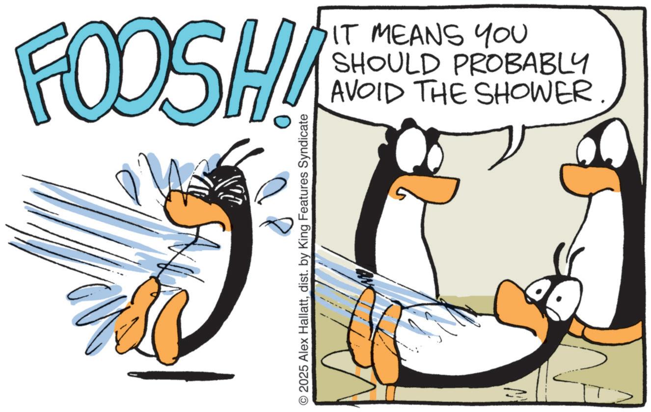 Photo caption OCR: FOOSHA AVOID THE SHOWER. SHOULD PROBABLY IT MEANS YOU © 2025 Alex Hallattdist. by King Features Syndicate W FOOSHA AVOID THE SHOWER . SHOULD PROBABLY IT MEANS YOU © 2025 Alex Hallattdist . by King Features Syndicate W