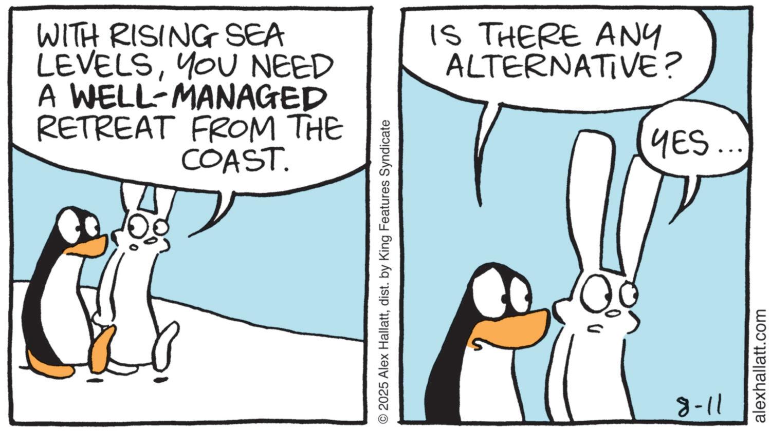 Animation OCR: WITH RISING SEA LEVELSYOU NEED A WELL-MANAGED RETREAT FROM THE COAST. IS THERE ANY ALTERNATIVE? YES... © 2025 Alex Hallattdist. by King Features Syndicate 8-11 alexhallatt.com WITH RISING SEA LEVELSYOU NEED A WELL - MANAGED RETREAT FROM THE COAST . IS THERE ANY ALTERNATIVE ? YES ... © 2025 Alex Hallattdist . by King Features Syndicate 8-11 alexhallatt.com