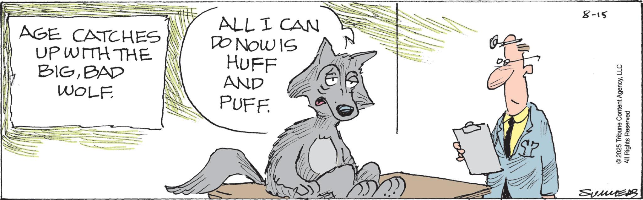 Photo caption OCR: AGE CATCHES UP WITH THE BIGBAD WOLF ALL I CAN DO NOW IS HUFF AND PUFF. 8-15 2025 Tribune Content AgencyLLC All Rights Reserved SUMMERS AGE CATCHES UP WITH THE BIGBAD WOLF ALL I CAN DO NOW IS HUFF AND PUFF . 8-15 2025 Tribune Content AgencyLLC All Rights Reserved SUMMERS