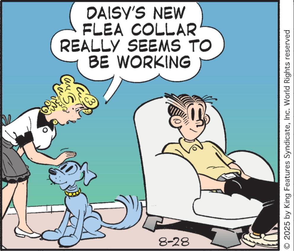 Ancient dog breeds OCR: DAISY'S NEW FLEA COLLAR REALLY SEEMS TO BE WORKING Can S 8-28 2025 by King Features SyndicateInc. World Rights reserved DAISY'S NEW FLEA COLLAR REALLY SEEMS TO BE WORKING Can S 8-28 2025 by King Features SyndicateInc. World Rights reserved