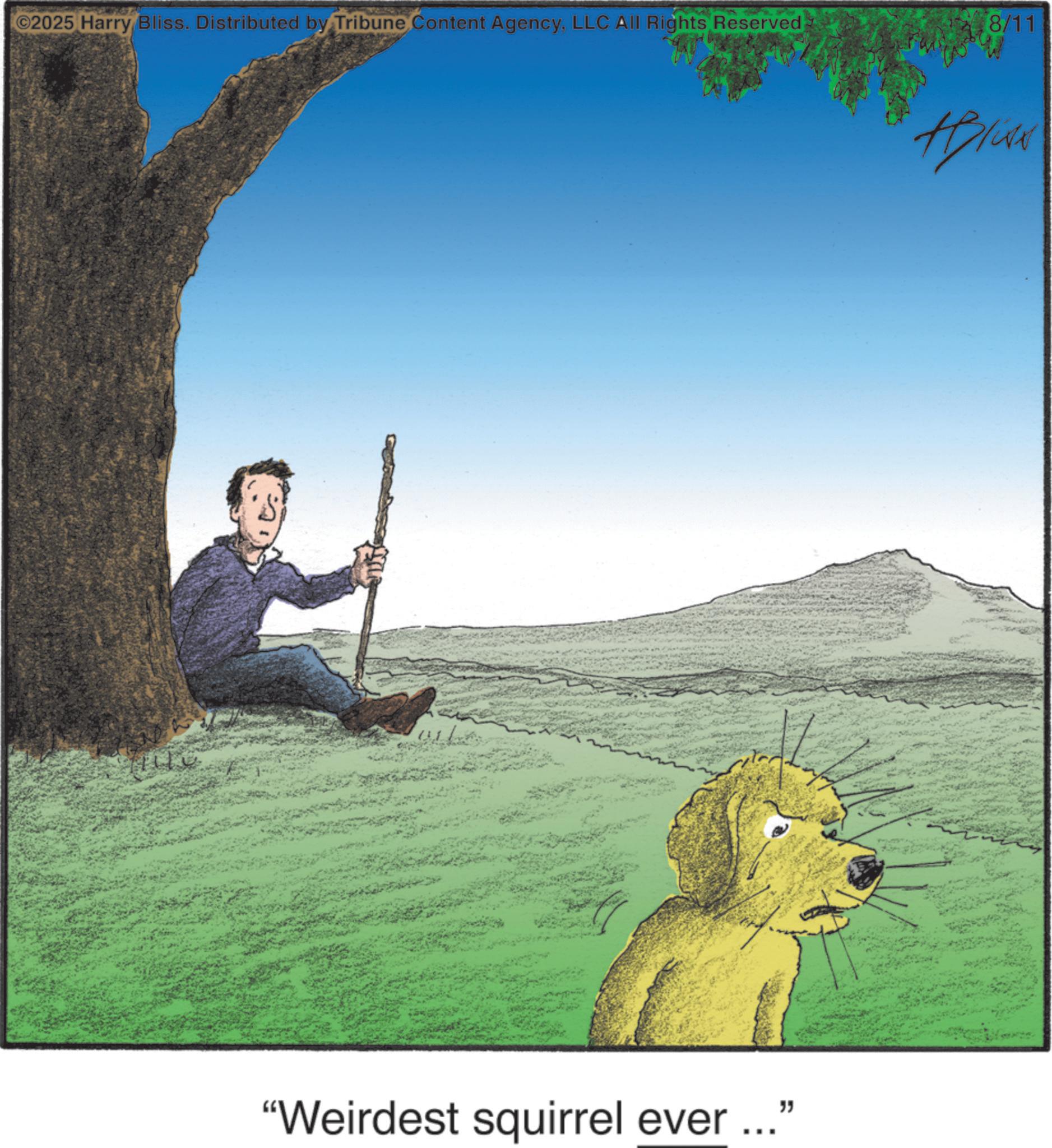 Fishing OCR: ©2025 Harry Bliss. Distributed by Tribune Content AgencyLLC All Rights Reserved "Weirdest squirrel ever...' " 8/11 © 2025 Harry Bliss . Distributed by Tribune Content AgencyLLC All Rights Reserved " Weirdest squirrel ever ... ' " 8/11