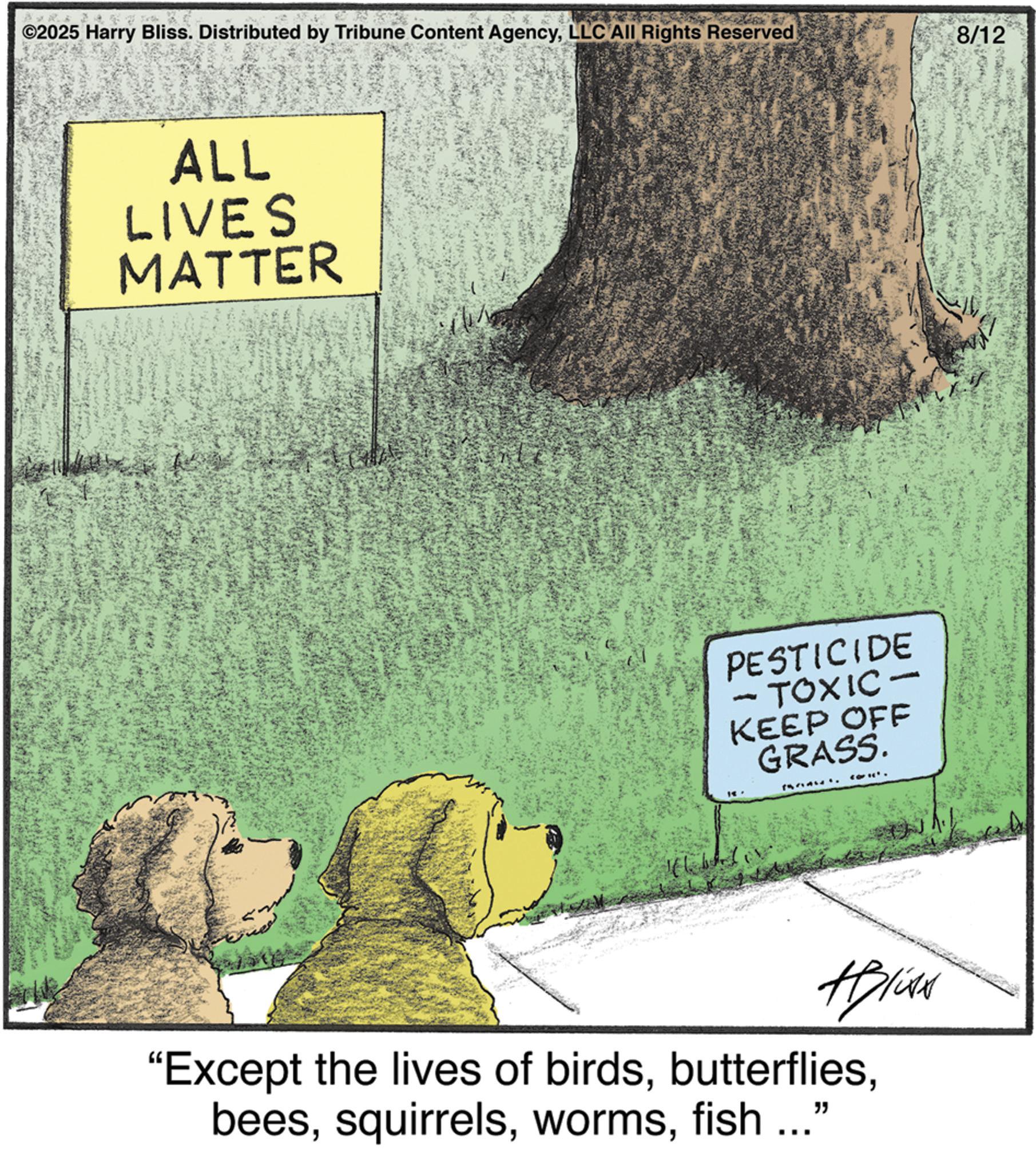 Animated cartoon OCR: ©2025 Harry Bliss. Distributed by Tribune Content AgencyLLC All Rights Reserved 8/12 ALL LIVES MATTER PESTICIDE - TOXIC- KEEP OFF GRASS. 14 Alise "Except the lives of birds..." beesfish ... © 2025 Harry Bliss . Distributed by Tribune Content AgencyLLC All Rights Reserved 8/12 ALL LIVES MATTER PESTICIDE - TOXIC- KEEP OFF GRASS . 14 Alise " Except the lives of birds... " beesfish ...
