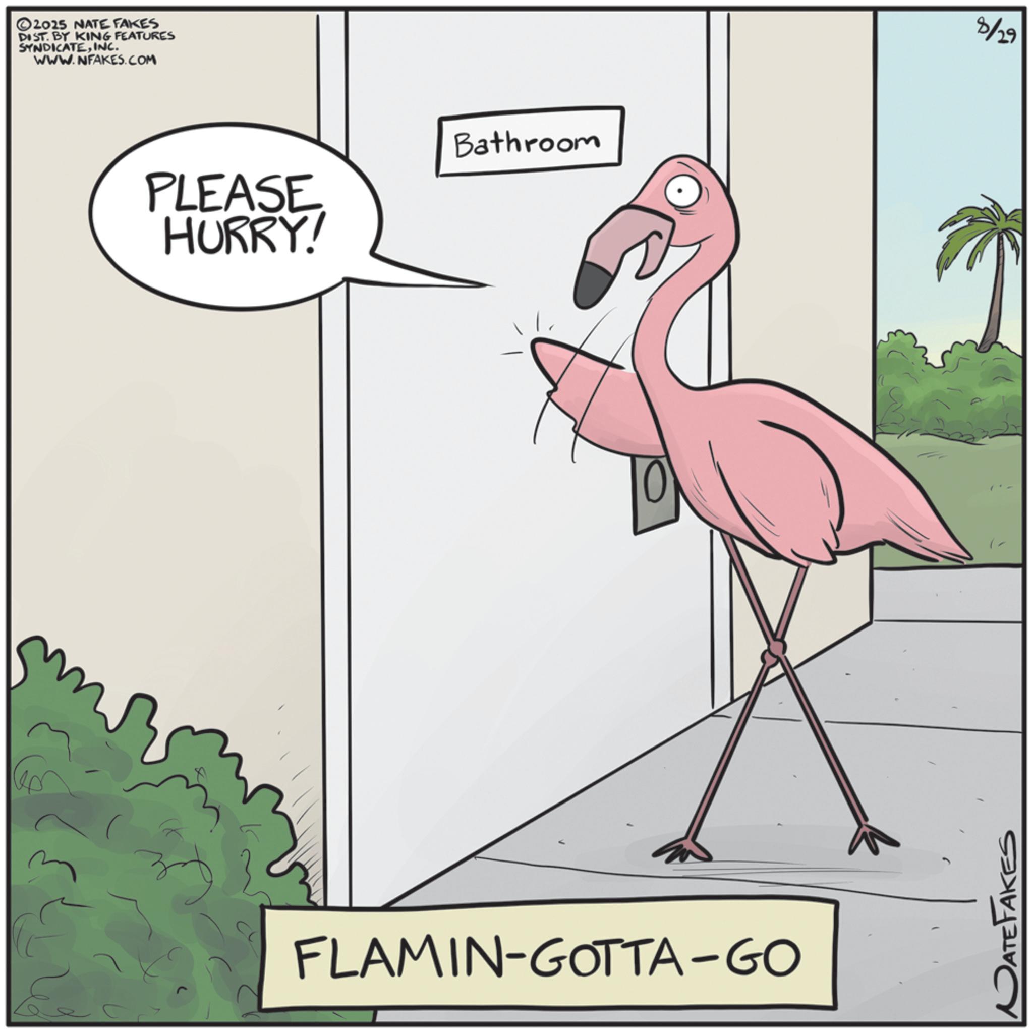 Animation OCR: 2025 NATE FAKES DIST. BY KING FEATURES SYNDICATEINC. WWW.NFAKES.COM PLEASE HURRY! Bathroom FLAMIN-GOTTA - GO DATEFAKES 8/29 2025 NATE FAKES DIST . BY KING FEATURES SYNDICATEINC . WWW.NFAKES.COM PLEASE HURRY ! Bathroom FLAMIN - GOTTA - GO DATEFAKES 8/29