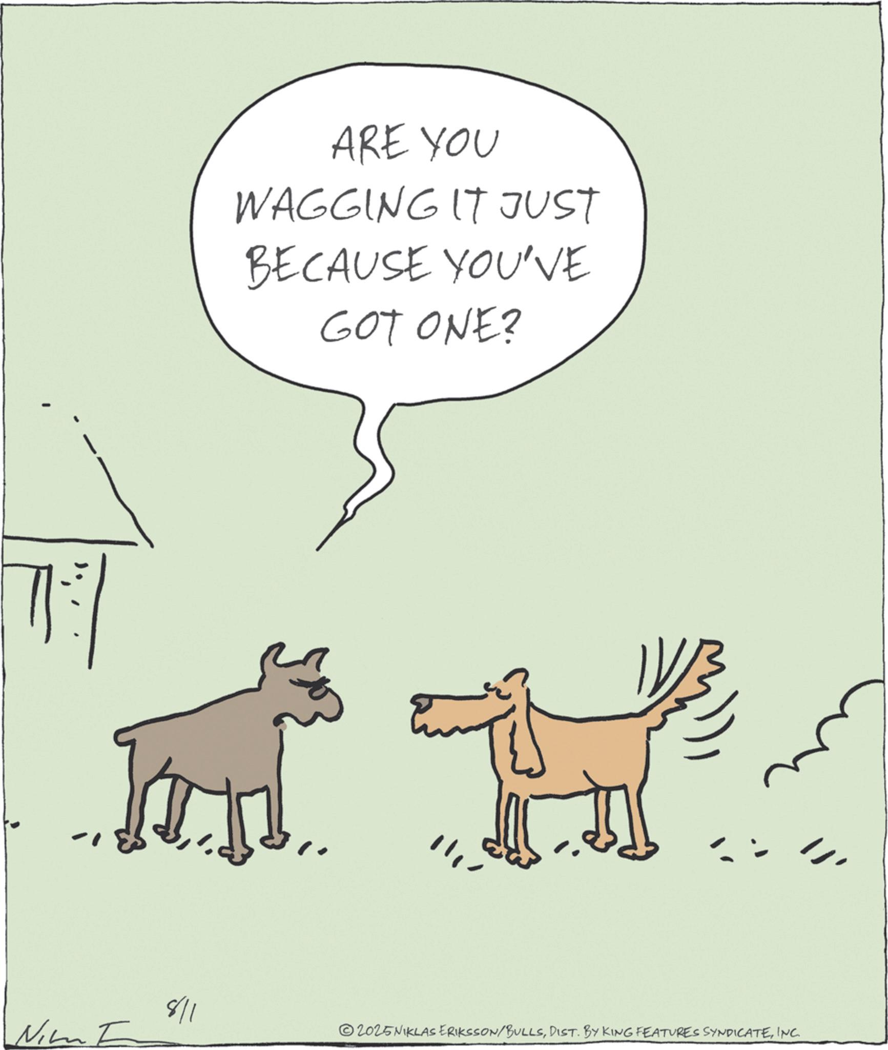 Pack animal OCR: ARE YOU WAGGING IT JUST BECAUSE YOU'VE GOT ONE? 8/1 Nim E 2025NIKLAS ERIKSSON/BULLSINC. ARE YOU WAGGING IT JUST BECAUSE YOU'VE GOT ONE ? 8/1 Nim E 2025NIKLAS ERIKSSON / BULLSDIST . BY KING FEATURES SYNDICATEINC .