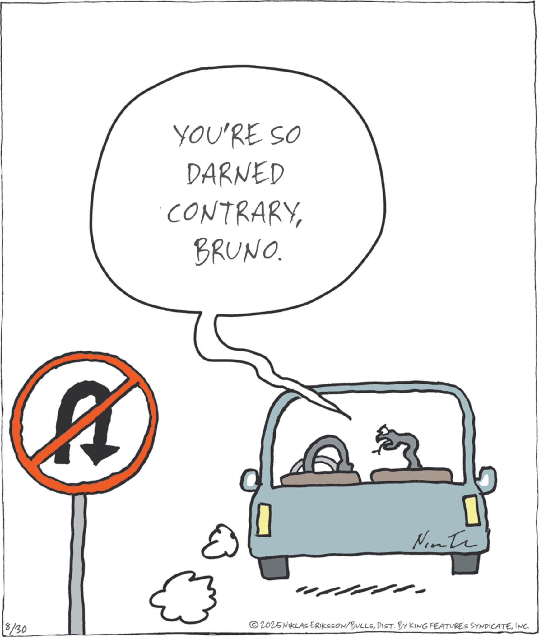 Graphics OCR: YOU'RE SO DARNED CONTRARYBRUNO. 8/30 A 3 Ninte 2025NIKLAS ERIKSSON/BULLSINC. YOU'RE SO DARNED CONTRARYBRUNO . 8/30 A 3 Ninte 2025NIKLAS ERIKSSON / BULLSDIST . BY KING FEATURES SYNDICATEINC .
