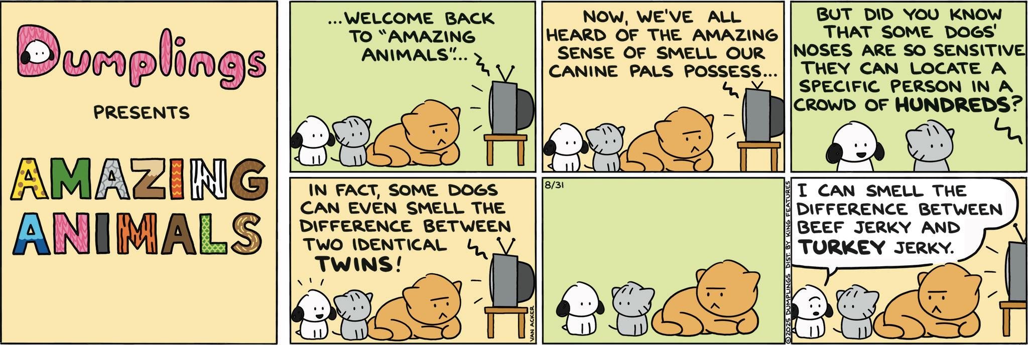 Photo caption OCR: Dumplings PRESENTS . WELCOME BACK TO "AMAZING ANIMALS"... V AMAZING ANIMALS IN FACTSOME DOGS CAN EVEN SMELL THE DIFFERENCE BETWEEN TWO IDENTICAL V TWINS! 8/31 NOWWE'VE ALL HEARD OF THE AMAZING SENSE OF SMELL OUR CANINE PALS POSSESS... m BUT DID YOU KNOW THAT SOME DOGS' NOSES ARE SO SENSITIVE THEY CAN LOCATE A SPECIFIC PERSON IN A CROWD OF HUNDREDS? 2025 DUMPLING I CAN SMELL THE DIFFERENCE BETWEEN BEEF JERKY AND TURKEY JERKY. Dumplings PRESENTS . WELCOME BACK TO " AMAZING ANIMALS " ... V AMAZING ANIMALS IN FACTSOME DOGS CAN EVEN SMELL THE DIFFERENCE BETWEEN TWO IDENTICAL V TWINS ! 8/31 NOWWE'VE ALL HEARD OF THE AMAZING SENSE OF SMELL OUR CANINE PALS POSSESS ... m BUT DID YOU KNOW THAT SOME DOGS ' NOSES ARE SO SENSITIVE THEY CAN LOCATE A SPECIFIC PERSON IN A CROWD OF HUNDREDS ? 2025 DUMPLING I CAN SMELL THE DIFFERENCE BETWEEN BEEF JERKY AND TURKEY JERKY .