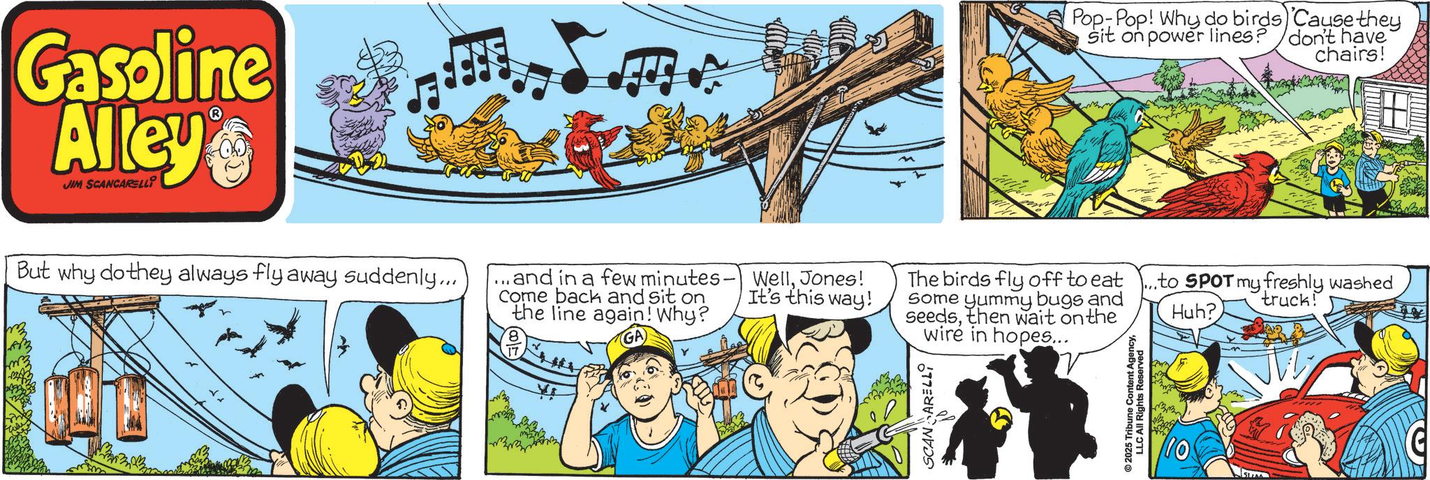 Graphics OCR: Gasoline Alley JIM SCANCARELLI ? But why do they always fly away suddenly... Pop-Pop! Why do birds) 'Cause they sit on power lines? don't have chairs! ..and in a few minutes- Come back and sit on the line again! Why? ? WellJones! It's this way! The birds fly off to eat Some yummy bugs and seedsthen wait on the wire in hopes... SCANARELLI © 2025 Tribune Content AgencyLLC All Rights Reserved ...to SPOT my freshly washed Huh? 10 STA truck! Gasoline Alley JIM SCANCARELLI ? But why do they always fly away suddenly ... Pop - Pop ! Why do birds ) ' Cause they sit on power lines ? don't have chairs ! ..and in a few minutes- Come back and sit on the line again ! Why ? ? WellJones ! It's this way ! The birds fly off to eat Some yummy bugs and seedsthen wait on the wire in hopes ... SCANARELLI © 2025 Tribune Content AgencyLLC All Rights Reserved ... to SPOT my freshly washed Huh ? 10 STA truck !