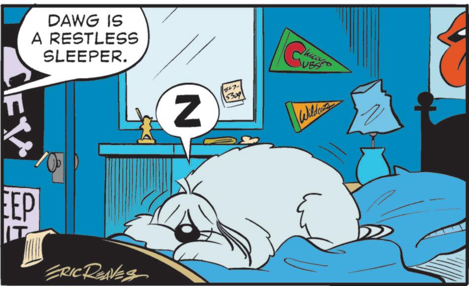 Clip art OCR: DAWG IS A RESTLESS SLEEPER. EEP ERIC REAVES N $67- 5309 Chicago Wildcats DAWG IS A RESTLESS SLEEPER . EEP ERIC REAVES N $ 67- 5309 Chicago Wildcats