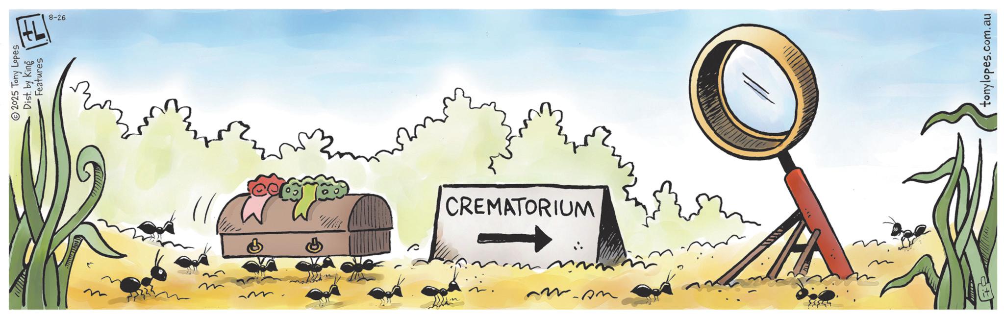 Animation OCR: www. 2025 Tony Lopes Dist. by King Features C M 8-26 CREMATORIUM wow tonylopes.com.au www . 2025 Tony Lopes Dist . by King Features C M 8-26 CREMATORIUM wow tonylopes.com.au