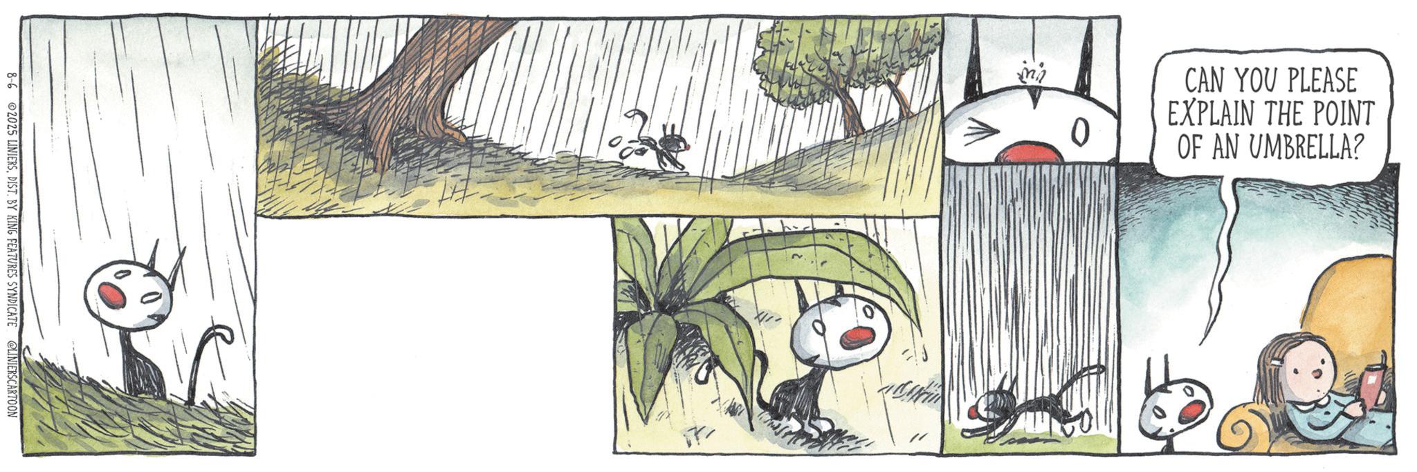OCR: CAN YOU PLEASE EXPLAIN THE POINT OF AN UMBRELLA? 0 8-6 2025 LINIERSDIST. BY KING FEATURES SYNDICATE @LINIERSCARTOON CAN YOU PLEASE EXPLAIN THE POINT OF AN UMBRELLA ? 0 8-6 2025 LINIERSDIST . BY KING FEATURES SYNDICATE @LINIERSCARTOON