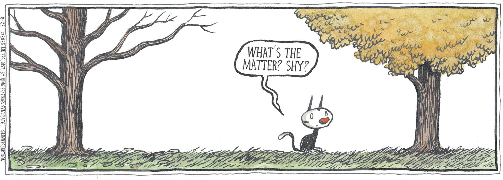 Tail OCR: 8-22 2025 LINIERSDIST. BY KING FEATURES SYNDICATE @LINIERSCARTOON WHAT'S THE MATTER? SHY? ????? ?? 8-22 2025 LINIERSDIST . BY KING FEATURES SYNDICATE @LINIERSCARTOON WHAT'S THE MATTER ? SHY ? ????? ??