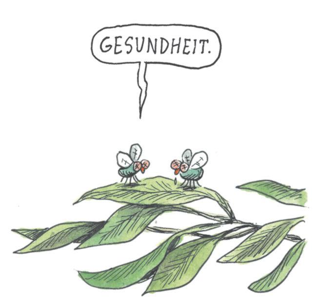 Child art OCR: GESUNDHEIT. GESUNDHEIT .
