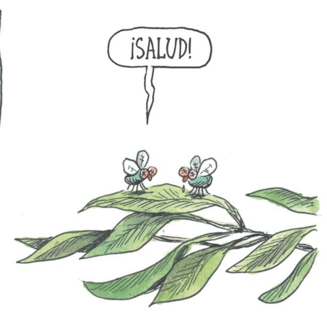 Animation OCR: ¡SALUD! ¡ SALUD !