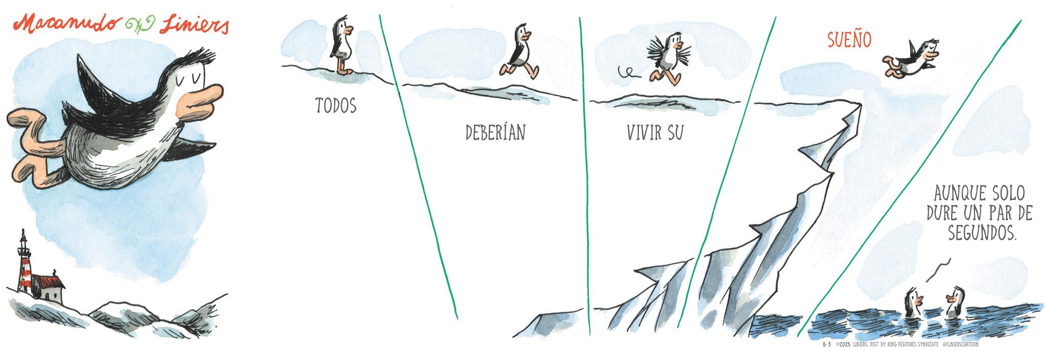 Ice cap OCR: Macanudo Liniers ?? TODOS DEBERÍAN VIVIR SU SVEÑO AUNQUE SOLO DURE UN PAR DE SEGUNDOS. 8-3 2025 LINIERSDIST. BY KING FEATURES SYNDICATE LINIERSCARTOON Macanudo Liniers ?? TODOS DEBERÍAN VIVIR SU SVEÑO AUNQUE SOLO DURE UN PAR DE SEGUNDOS . 8-3 2025 LINIERSDIST . BY KING FEATURES SYNDICATE LINIERSCARTOON
