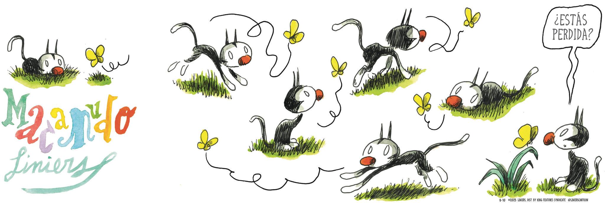 Fictional character OCR: Maando Liniers ¿ESTÁS PERDIDA? 8-10 2025 LINIERSDIST. BY KING FEATURES SYNDICATE @LINIERSCARTOON Maando Liniers ¿ ESTÁS PERDIDA ? 8-10 2025 LINIERSDIST . BY KING FEATURES SYNDICATE @LINIERSCARTOON