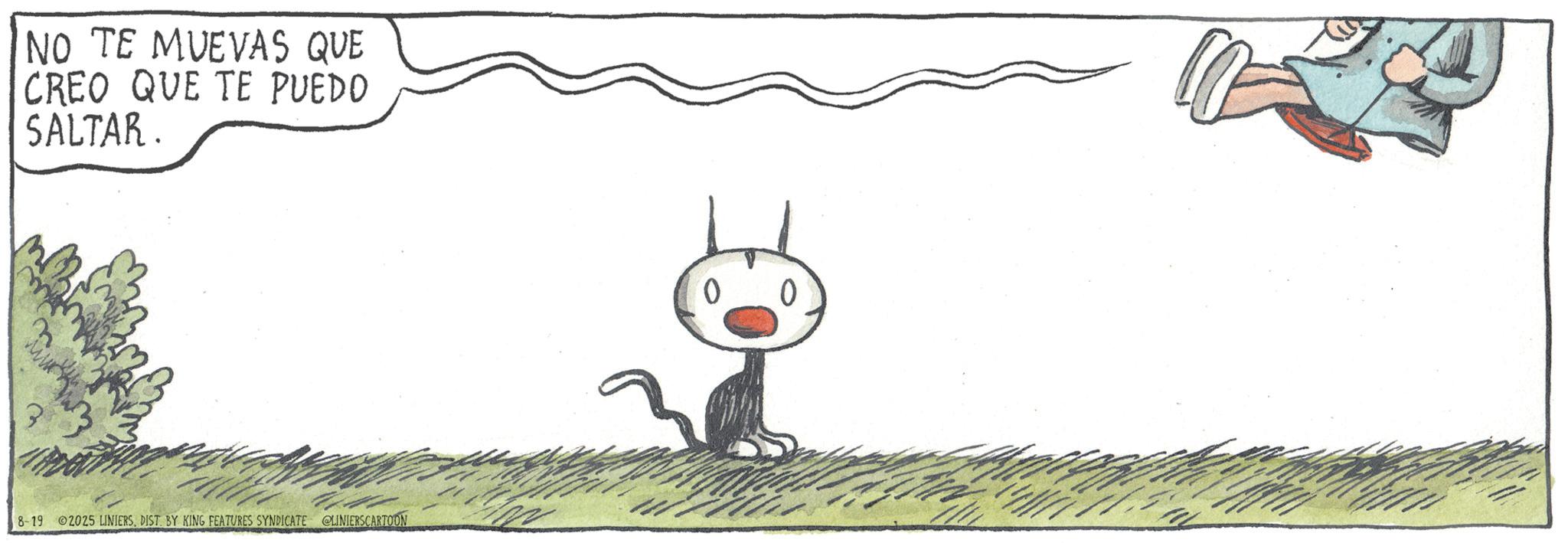 Felinae OCR: NO TE MUEVAS QUE CREO QUE TE PUEDO SALTAR. 8-19 2025 LINIERSDIST. BY KING FEATURES SYNDICATE LINIERSCARTOON 0 NO TE MUEVAS QUE CREO QUE TE PUEDO SALTAR . 8-19 2025 LINIERSDIST . BY KING FEATURES SYNDICATE LINIERSCARTOON 0