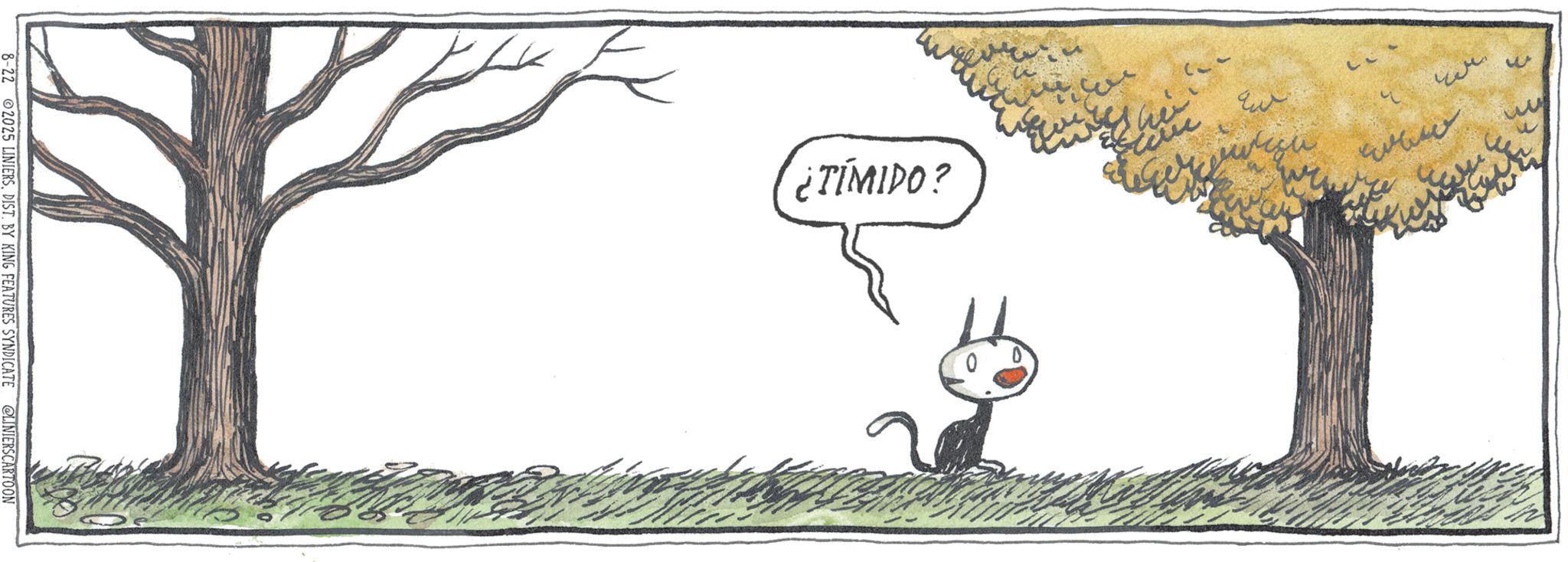 Cat OCR: 8-22 2025 LINIERSDIST. BY KING FEATURES SYNDICATE @LINIERSCARTOON ¿TÍMIDO? ?? 3 8-22 2025 LINIERSDIST . BY KING FEATURES SYNDICATE @LINIERSCARTOON ¿ TÍMIDO ? ?? 3