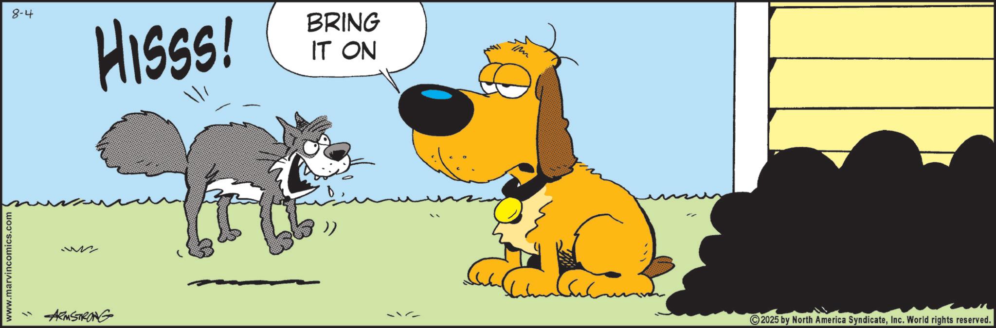 Canidae OCR: www.marvincomics.com 8-4 W ARMSTRONG Misss! BRING IT ON 2025 by North America SyndicateInc. World rights reserved. www.marvincomics.com 8-4 W ARMSTRONG Misss ! BRING IT ON 2025 by North America SyndicateInc. World rights reserved .