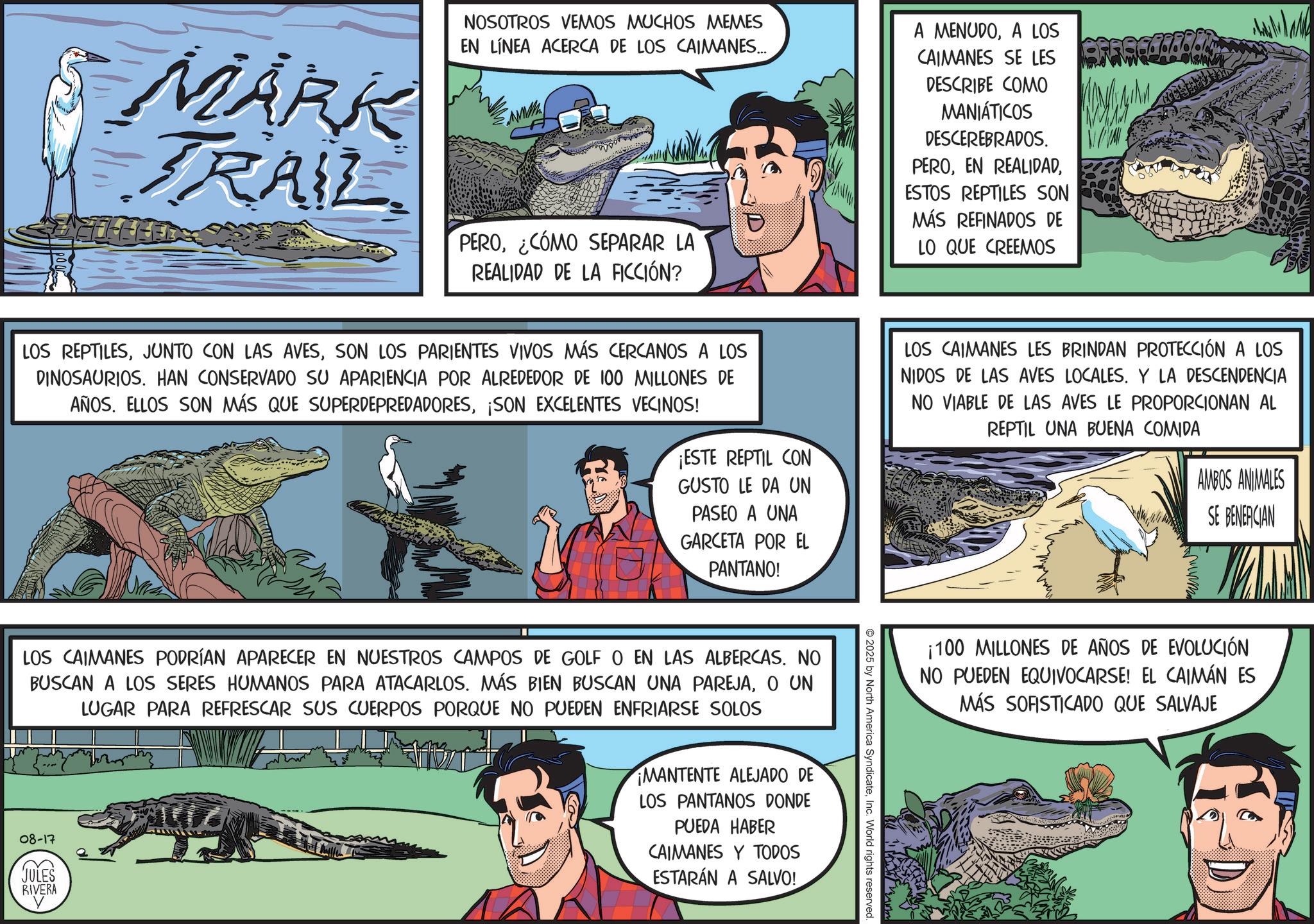 Reptile OCR: MARK TRAIL NOSOTROS VEMOS MUCHOS MEMES EN LÍNEA ACERCA DE LOS CAIMANES... www PERO¿CÓMO SEPARAR LA REALIDAD DE LA FICCIÓN? LOS REPTILESSON LOS PARIENTES VIVOS MÁS CERCANOS A LOS DINOSAURIOS. HAN CONSERVADO SU APARIENCIA POR ALREDEDOR DE 100 MILLONES DE AÑOS. ELLOS SON MÁS QUE SUPERDEPREDADORES¡SON EXCELENTES VECINOS! ¡ESTE REPTIL CON GUSTO LE DA UN PASEO A UNA GARCETA POR EL PANTANO! A MENUDOA LOS CAIMANES SE LES DESCRIBE COMO MANIÁTICOS DESCEREBRADOS. PEROESTOS REPTILES SON MÁS REFINADOS DE LO QUE CREEMOS LOS CAIMANES LES BRINDAN PROTECCIÓN A LOS NIDOS DE LAS AVES LOCALES. Y LA DESCENDENCIA NO VIABLE DE LAS AVES LE PROPORCIONAN AL REPTIL UNA BUENA COMIDA AMBOS ANIMALES SE BENEFICIAN ¡100 MILLONES DE AÑOS DE EVOLUCIÓN NO PUEDEN EQUIVOCARSE! EL CAIMÁN ES MÁS SOFISTICADO QUE SALVAJE 2025 by North America SyndicateInc. World rights reserved LOS CAIMANES PODRÍAN APARECER EN NUESTROS CAMPOS DE GOLF O EN LAS ALBERCAS. NO BUSCAN A LOS SERES HUMANOS PARA ATACARLOS. MÁS BIEN BUSCAN UNA PAREJAO UN LUGAR PARA REFRESCAR SUS CUERPOS PORQUE NO PUEDEN ENFRIARSE SOLOS 08-17 JULES RIVERA ? ¡MANTENTE ALEJADO DE LOS PANTANOS DONDE PUEDA HABER CAIMANES Y TODOS ESTARÁN A SALVO! MARK TRAIL NOSOTROS VEMOS MUCHOS MEMES EN LÍNEA ACERCA DE LOS CAIMANES ... www PERO¿ CÓMO SEPARAR LA REALIDAD DE LA FICCIÓN ? LOS REPTILESJUNTO CON LAS AVESSON LOS PARIENTES VIVOS MÁS CERCANOS A LOS DINOSAURIOS . HAN CONSERVADO SU APARIENCIA POR ALREDEDOR DE 100 MILLONES DE AÑOS . ELLOS SON MÁS QUE SUPERDEPREDADORES¡ SON EXCELENTES VECINOS ! ¡ ESTE REPTIL CON GUSTO LE DA UN PASEO A UNA GARCETA POR EL PANTANO ! A MENUDOA LOS CAIMANES SE LES DESCRIBE COMO MANIÁTICOS DESCEREBRADOS . PEROEN REALIDADESTOS REPTILES SON MÁS REFINADOS DE LO QUE CREEMOS LOS CAIMANES LES BRINDAN PROTECCIÓN A LOS NIDOS DE LAS AVES LOCALES . Y LA DESCENDENCIA NO VIABLE DE LAS AVES LE PROPORCIONAN AL REPTIL UNA BUENA COMIDA AMBOS ANIMALES SE BENEFICIAN ¡ 100 MILLONES DE AÑOS DE EVOLUCIÓN NO PUEDEN EQUIVOCARSE ! EL CAIMÁN ES MÁS SOFISTICADO QUE SALVAJE 2025 by North America SyndicateInc. World rights reserved LOS CAIMANES PODRÍAN APARECER EN NUESTROS CAMPOS DE GOLF O EN LAS ALBERCAS . NO BUSCAN A LOS SERES HUMANOS PARA ATACARLOS . MÁS BIEN BUSCAN UNA PAREJAO UN LUGAR PARA REFRESCAR SUS CUERPOS PORQUE NO PUEDEN ENFRIARSE SOLOS 08-17 JULES RIVERA ? ¡ MANTENTE ALEJADO DE LOS PANTANOS DONDE PUEDA HABER CAIMANES Y TODOS ESTARÁN A SALVO !