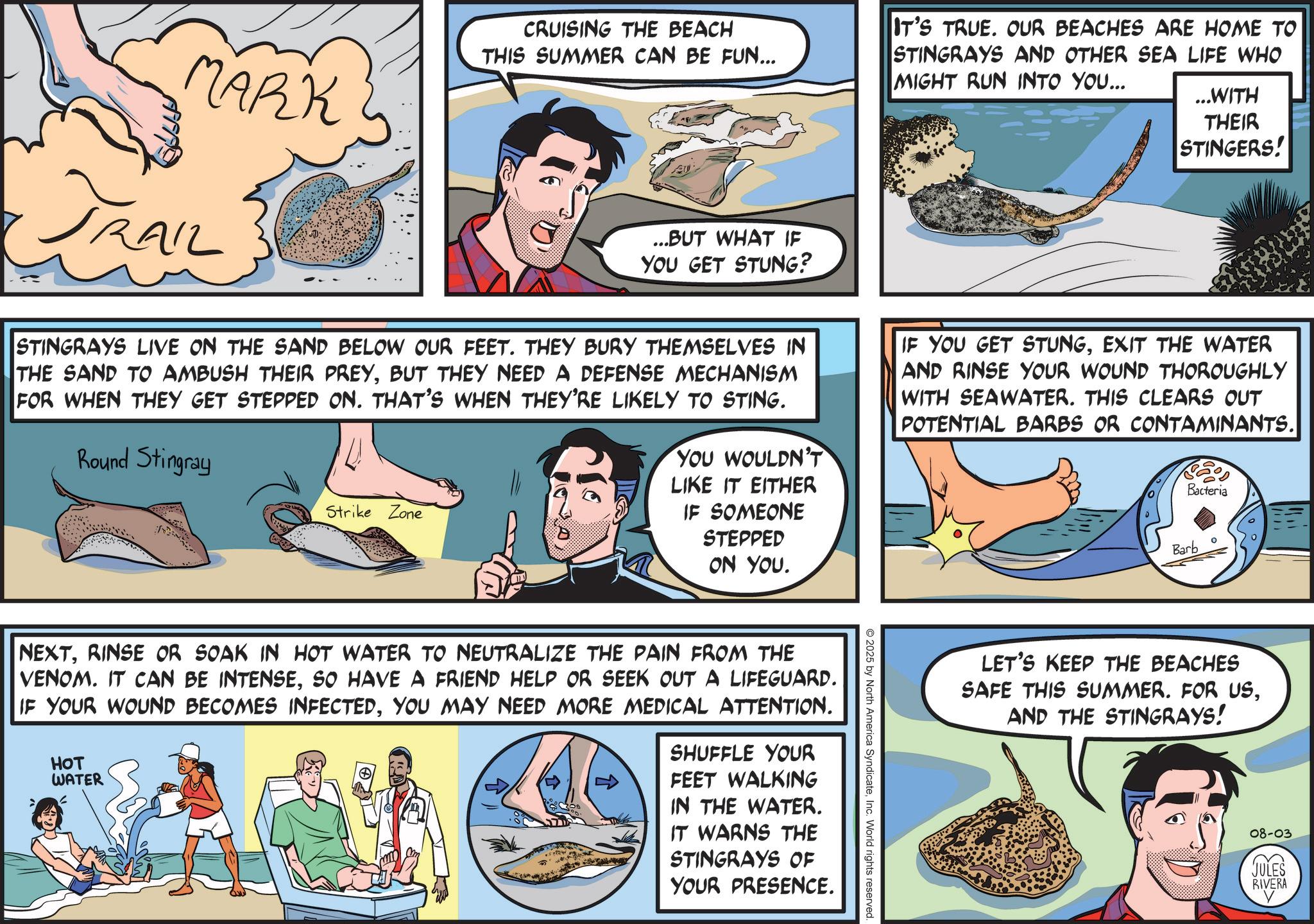 Fictional character OCR: MARK TRAIL CRUISING THE BEACH THIS SUMMER CAN BE FUN... ...BUT WHAT IF YOU GET STUNG? STINGRAYS LIVE ON THE SAND BELOW OUR FEET. THEY BURY THEMSELVES IN THE SAND TO AMBUSH THEIR PREYBUT THEY NEED A DEFENSE MECHANISM FOR WHEN THEY GET STEPPED ON. THAT'S WHEN THEY'RE LIKELY TO STING. Round Stingray Strike Zone YOU WOULDN'T LIKE IT EITHER IF SOMEONE STEPPED ON YOU. IT'S TRUE. OUR BEACHES ARE HOME TO STINGRAYS AND OTHER SEA LIFE WHO MIGHT RUN INTO YOU... ...WITH THEIR STINGERS! IF YOU GET STUNGEXIT THE WATER AND RINSE YOUR WOUND THOROUGHLY WITH SEAWATER. THIS CLEARS OUT POTENTIAL BARBS OR CONTAMINANTS. Bacteria ° Barb 2025 by North America SyndicateInc. World rights reserved NEXTRINSE OR SOAK IN HOT WATER TO NEUTRALIZE THE PAIN FROM THE VENOM. IT CAN BE INTENSESO HAVE A FRIEND HELP OR SEEK OUT A LIFEGUARD. IF YOUR WOUND BECOMES INFECTEDYOU MAY NEED MORE MEDICAL ATTENTION. HOT WATER F SHUFFLE YOUR FEET WALKING IN THE WATER. IT WARNS THE STINGRAYS OF YOUR PRESENCE. LET'S KEEP THE BEACHES SAFE THIS SUMMER. FOR USAND THE STINGRAYS! 08-03 JULES RIVERA MARK TRAIL CRUISING THE BEACH THIS SUMMER CAN BE FUN ... ... BUT WHAT IF YOU GET STUNG ? STINGRAYS LIVE ON THE SAND BELOW OUR FEET . THEY BURY THEMSELVES IN THE SAND TO AMBUSH THEIR PREYBUT THEY NEED A DEFENSE MECHANISM FOR WHEN THEY GET STEPPED ON . THAT'S WHEN THEY'RE LIKELY TO STING . Round Stingray Strike Zone YOU WOULDN'T LIKE IT EITHER IF SOMEONE STEPPED ON YOU . IT'S TRUE . OUR BEACHES ARE HOME TO STINGRAYS AND OTHER SEA LIFE WHO MIGHT RUN INTO YOU ... ... WITH THEIR STINGERS ! IF YOU GET STUNGEXIT THE WATER AND RINSE YOUR WOUND THOROUGHLY WITH SEAWATER . THIS CLEARS OUT POTENTIAL BARBS OR CONTAMINANTS . Bacteria ° Barb 2025 by North America SyndicateInc. World rights reserved NEXTRINSE OR SOAK IN HOT WATER TO NEUTRALIZE THE PAIN FROM THE VENOM . IT CAN BE INTENSESO HAVE A FRIEND HELP OR SEEK OUT A LIFEGUARD . IF YOUR WOUND BECOMES INFECTEDYOU MAY NEED MORE MEDICAL ATTENTION . HOT WATER F SHUFFLE YOUR FEET WALKING IN THE WATER . IT WARNS THE STINGRAYS OF YOUR PRESENCE . LET'S KEEP THE BEACHES SAFE THIS SUMMER . FOR USAND THE STINGRAYS ! 08-03 JULES RIVERA