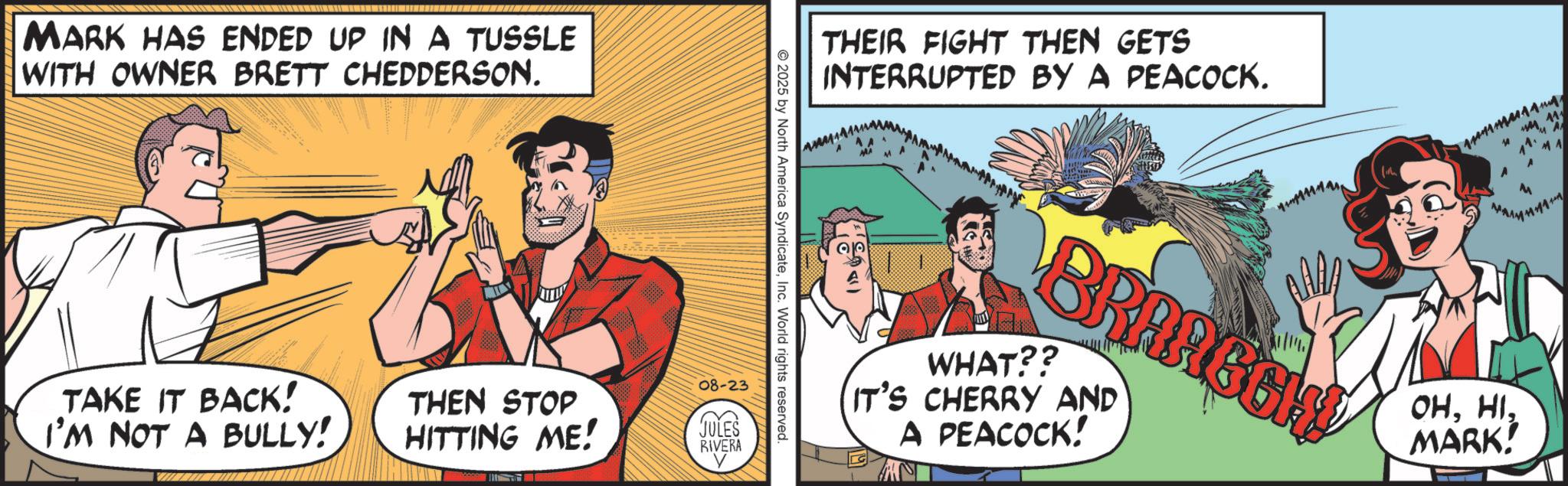 Animated cartoon OCR: MARK HAS ENDED UP IN A TUSSLE WITH OWNER BRETT CHEDDERSON. THEIR FIGHT THEN GETS INTERRUPTED BY A PEACOCK. BRAAGCH WHAT?? IT'S CHERRY AND A PEACOCK! 10 11. M 11 OHMARK! © 2025 by North America SyndicateInc. World rights reserved. TAKE IT BACK! I'M NOT A BULLY! THEN STOP HITTING ME! 08-23 JULES RIVERA MARK HAS ENDED UP IN A TUSSLE WITH OWNER BRETT CHEDDERSON . THEIR FIGHT THEN GETS INTERRUPTED BY A PEACOCK . BRAAGCH WHAT ?? IT'S CHERRY AND A PEACOCK ! 10 11 . M 11 OHMARK ! © 2025 by North America SyndicateInc. World rights reserved . TAKE IT BACK ! I'M NOT A BULLY ! THEN STOP HITTING ME ! 08-23 JULES RIVERA