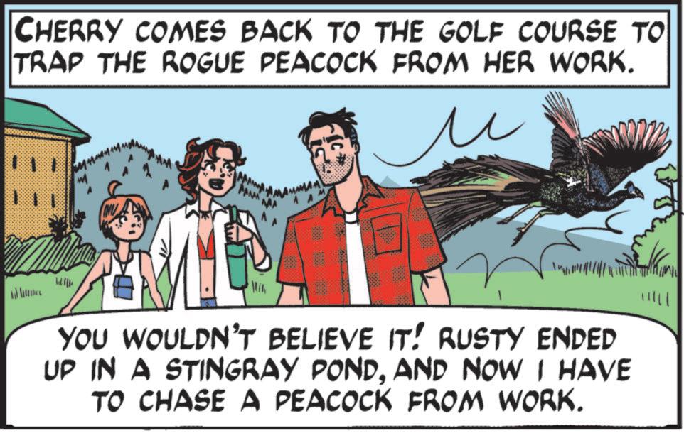 OCR: CHERRY COMES BACK TO THE GOLF COURSE TO TRAP THE ROGUE PEACOCK FROM HER WORK. u PAAAA YOU WOULDN'T BELIEVE IT! RUSTY ENDED UP IN A STINGRAY PONDAND NOW I HAVE TO CHASE A PEACOCK FROM WORK. CHERRY COMES BACK TO THE GOLF COURSE TO TRAP THE ROGUE PEACOCK FROM HER WORK . u PAAAA YOU WOULDN'T BELIEVE IT ! RUSTY ENDED UP IN A STINGRAY PONDAND NOW I HAVE TO CHASE A PEACOCK FROM WORK .