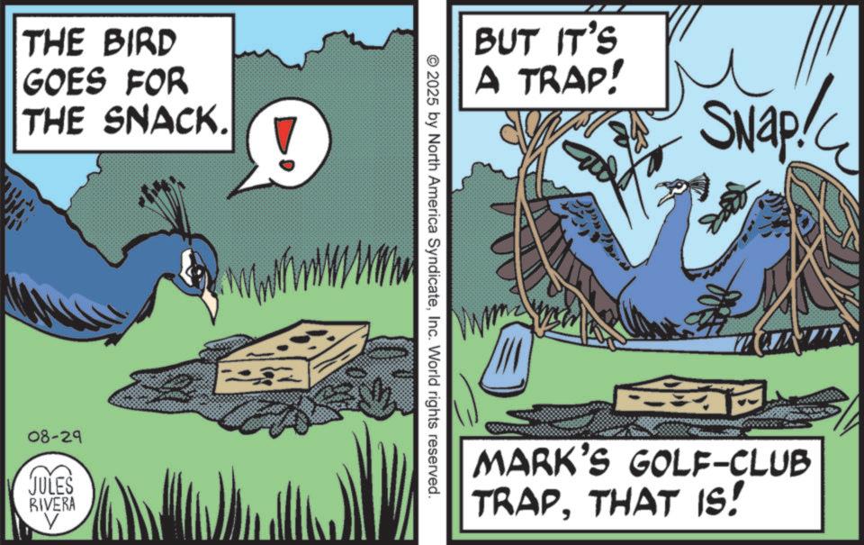 Animation OCR: THE BIRD GOES FOR THE SNACK. ! 08-29 JULES RIVERA V BUT IT'S A TRAP! SNAP! 2025 by North America SyndicateInc. World rights reserved. MARK'S GOLF-CLUB TRAPTHAT IS! THE BIRD GOES FOR THE SNACK . ! 08-29 JULES RIVERA V BUT IT'S A TRAP ! SNAP ! 2025 by North America SyndicateInc. World rights reserved . MARK'S GOLF - CLUB TRAPTHAT IS !