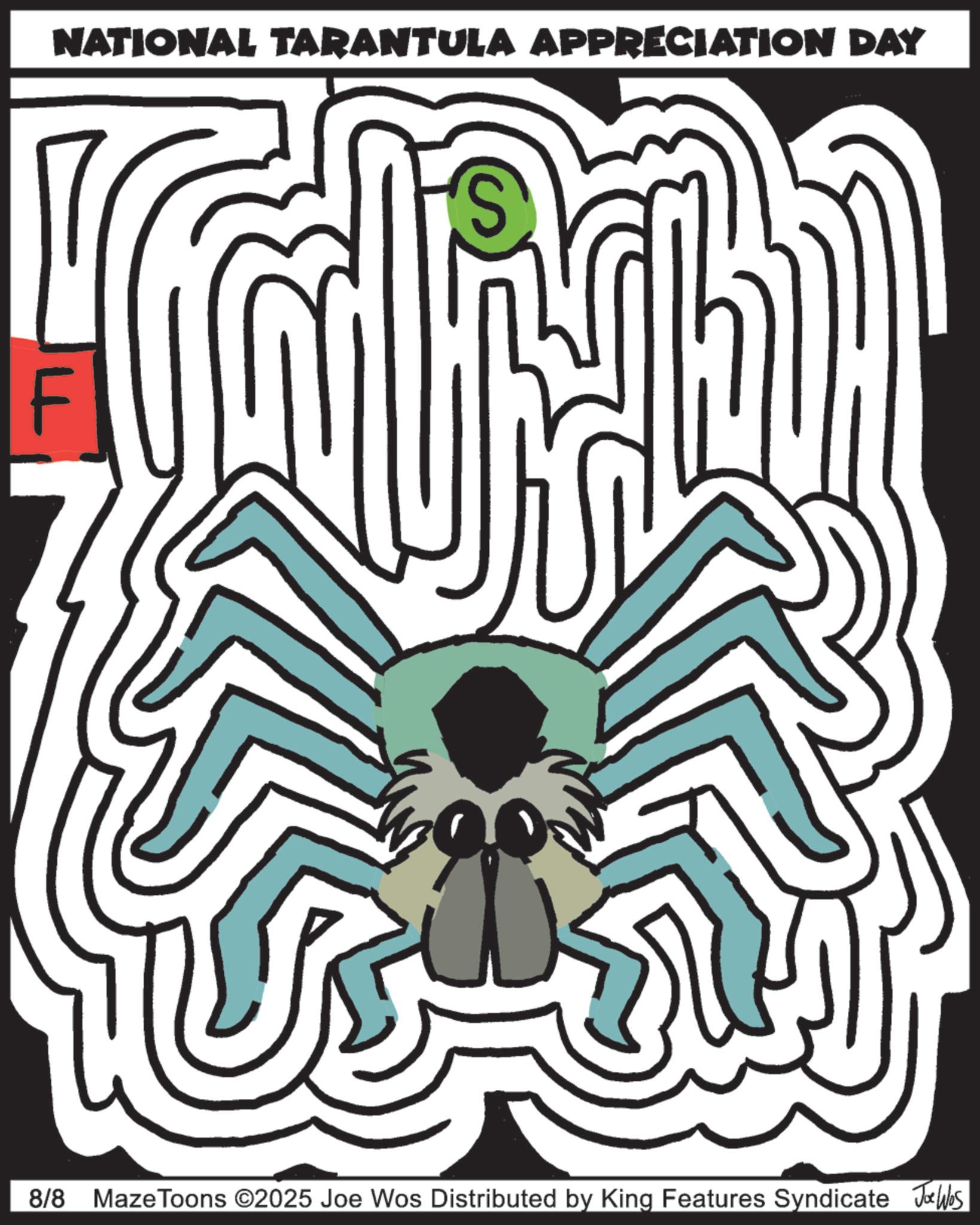 Graphic design OCR: NATIONAL TARANTULA APPRECIATION DAY F S 8/8 Maze Toons ©2025 Joe Wos Distributed by King Features Syndicate Jobs NATIONAL TARANTULA APPRECIATION DAY F S 8/8 Maze Toons © 2025 Joe Wos Distributed by King Features Syndicate Jobs