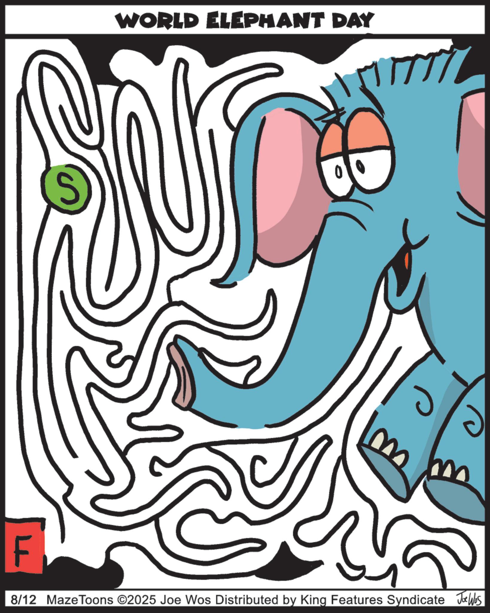 Coloring book OCR: S WORLD ELEPHANT DAY F m m 8/12 MazeToons ©2025 Joe Wos Distributed by King Features Syndicate Jobs S WORLD ELEPHANT DAY F m m 8/12 MazeToons © 2025 Joe Wos Distributed by King Features Syndicate Jobs