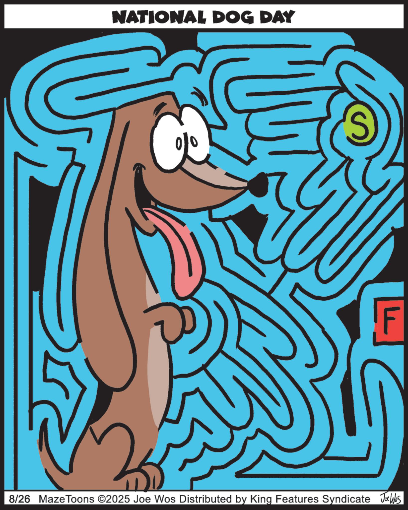 Graphic design OCR: NATIONAL DOG DAY 8/26 MazeToons ©2025 Joe Wos Distributed by King Features Syndicate Joe Wes NATIONAL DOG DAY 8/26 MazeToons © 2025 Joe Wos Distributed by King Features Syndicate Joe Wes