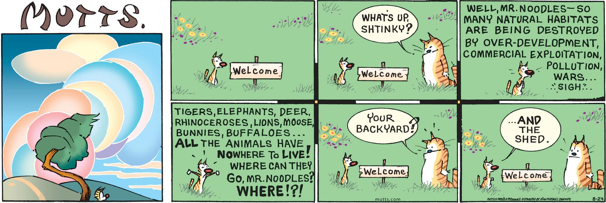 Comics OCR: MUTTS. Welcome W!! WHAT'S UP SHTINKY? ? Welcome WELLMR.NOODLES-So MANY NATURAL HABITATS ARE BEING DESTROYED BY OVER-DEVELOPMENTWARS... TIGERSBUFFALOES... ALL THE ANIMALS HAVE NOWHERE TO LIVE! WHERE CAN THEY GoMR. NOODLES? WHERE!?! YOUR BACKYARD! Welcome ...AND THE SHED. Welcome SIGH mutts.com MUTYS PATRICK MYDOUNE DISTRIBUTED BY KING FEATURES SYNDICATE 8-24 MUTTS . Welcome W !! WHAT'S UP SHTINKY ? ? Welcome WELLMR.NOODLES - So MANY NATURAL HABITATS ARE BEING DESTROYED BY OVER - DEVELOPMENTCOMMERCIAL EXPLOITATIONWARS ... TIGERSBUFFALOES ... ALL THE ANIMALS HAVE NOWHERE TO LIVE ! WHERE CAN THEY GoMR . NOODLES ? WHERE ! ? ! YOUR BACKYARD ! Welcome ... AND THE SHED . Welcome SIGH mutts.com MUTYS PATRICK MYDOUNE DISTRIBUTED BY KING FEATURES SYNDICATE 8-24