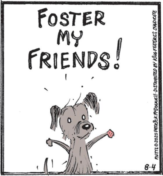 Canidae OCR: FOSTER MY FRIENDS! 8.4 MUTTS ©2025 PATRICK McDOUNE · DISTRIBUTED BY KING FEATURES SYNDICATE FOSTER MY FRIENDS ! 8.4 MUTTS © 2025 PATRICK McDOUNE · DISTRIBUTED BY KING FEATURES SYNDICATE