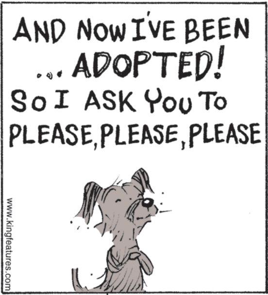 Working animal OCR: AND NOW I'VE BEEN ADOPTED! So I ASK YOU TO To PLEASEPLEASE www.kingfeatures.com AND NOW I'VE BEEN ADOPTED ! So I ASK YOU TO To PLEASEPLEASE www.kingfeatures.com