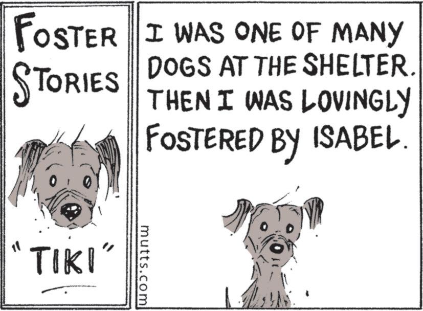 Illustration OCR: TORIES FOSTER I WAS ONE OF MANY DOGS AT THE SHELTER. THEN I WAS LOVINGLY FOSTERED BY ISABEL 11 TIKI" mutts.com TORIES FOSTER I WAS ONE OF MANY DOGS AT THE SHELTER . THEN I WAS LOVINGLY FOSTERED BY ISABEL 11 TIKI " mutts.com