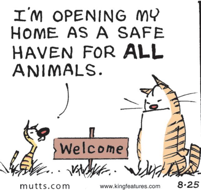 Photo caption OCR: I'M OPENING MY HOME AS A SAFE HAVEN FOR ALL ANIMALS. Welcome mutts.com ???? www.kingfeatures.com 8.25 I'M OPENING MY HOME AS A SAFE HAVEN FOR ALL ANIMALS . Welcome mutts.com ???? www.kingfeatures.com 8.25
