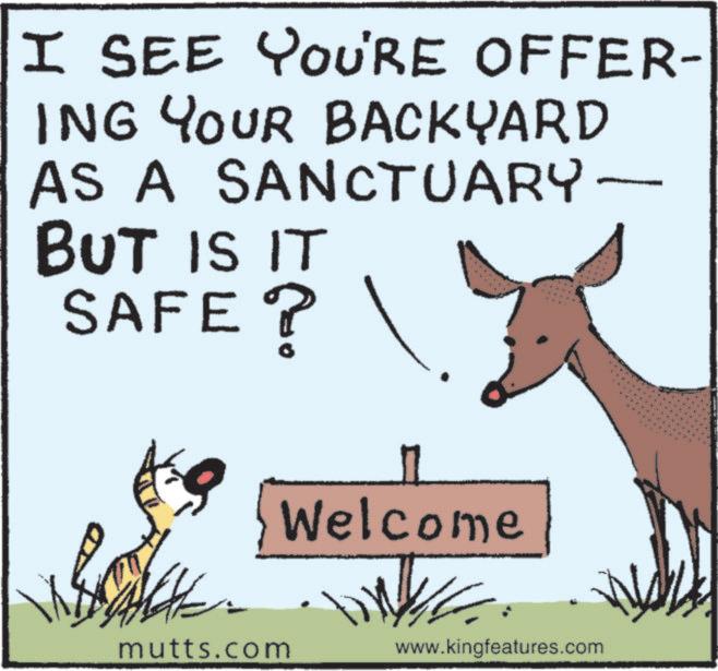 Pack animal OCR: I I SEE YOU'RE OFFER- ING YOUR BACKYARD AS A SANCTUARY - BUT IS IT ? SAFE? Welcome mutts.com • 4 • . • • • • www.kingfeatures.com I I SEE YOU'RE OFFER- ING YOUR BACKYARD AS A SANCTUARY - BUT IS IT ? SAFE ? Welcome mutts.com • 4 • . • • • • www.kingfeatures.com