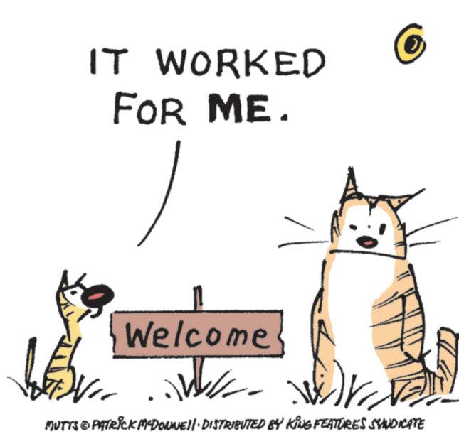 Tail OCR: IT WORKED FOR ME. ? Welcome ....... MUTTS & PATRICK MEDONNE. DISTRIBUTED BY KING FEATURES SYNDICATE © IT WORKED FOR ME . ? Welcome ....... MUTTS & PATRICK MEDONNE . DISTRIBUTED BY KING FEATURES SYNDICATE ©