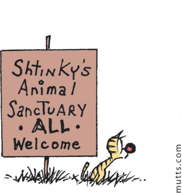 Terrestrial animal OCR: ??? Shtinky's Animal SancTUARY ALL. • Welcome ... mutts.com ??? Shtinky's Animal SancTUARY ALL . • Welcome ... mutts.com
