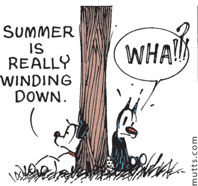 Animated cartoon OCR: 10 SUMMER IS REALLY WINDING DOWN. WHA!! mutts.com 10 SUMMER IS REALLY WINDING DOWN . WHA !! mutts.com