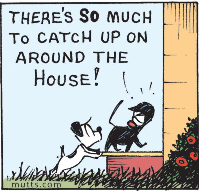Graphics OCR: THERE'S SO MUCH TO CATCH UP ON AROUND THE HOUSE! mutts.com 2 THERE'S SO MUCH TO CATCH UP ON AROUND THE HOUSE ! mutts.com 2