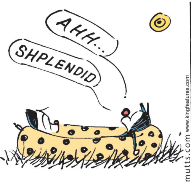 Insect OCR: AHH.. SHPLENDID mutts.com www.kingfeatures.com AHH .. SHPLENDID mutts.com www.kingfeatures.com
