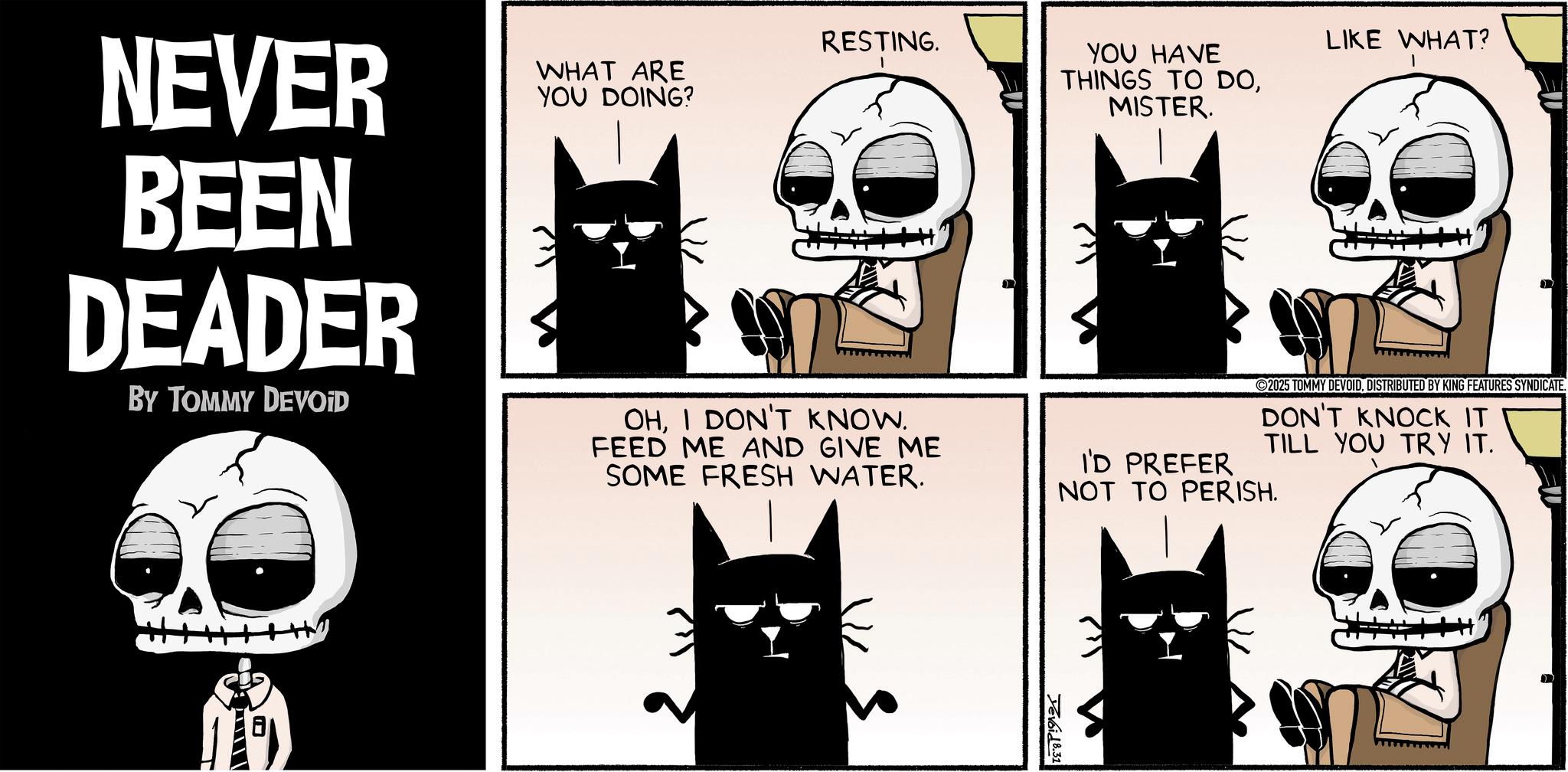 Graphic design OCR: NEVER BEEN DEADER BY TOMMY DEVOID RESTING. WHAT ARE YOU DOING? OHI DON'T KNOW. FEED ME AND GIVE ME SOME FRESH WATER. YOU HAVE THINGS TO DOMISTER. LIKE WHAT? 1 2025 TOMMY DEVOIDDISTRIBUTED BY KING FEATURES SYNDICATE. DON'T KNOCK IT TILL YOU TRY IT. I'D PREFER NOT TO PERISH. u---? Yevoid 8.31 NEVER BEEN DEADER BY TOMMY DEVOID RESTING . WHAT ARE YOU DOING ? OHI DON'T KNOW . FEED ME AND GIVE ME SOME FRESH WATER . YOU HAVE THINGS TO DOMISTER . LIKE WHAT ? 1 2025 TOMMY DEVOIDDISTRIBUTED BY KING FEATURES SYNDICATE . DON'T KNOCK IT TILL YOU TRY IT . I'D PREFER NOT TO PERISH . u --- ? Yevoid 8.31