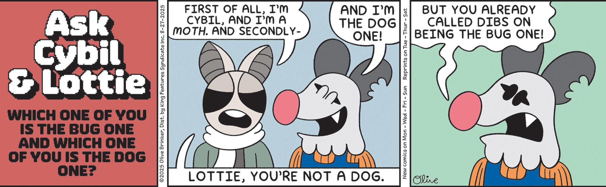 Graphics OCR: Ask Cybil & Lottie WHICH ONE OF YOU IS THE BUG ONE AND WHICH ONE OF YOU IS THE DOG ONE? ©2025 Olive BrinkerDist. by King Features Syndicate Inc. 8-27-2025 FIRST OF ALLI'M CYBILAND I'M A MOTH. AND SECONDLY- AND I'M THE DOG ONE! LOTTIEYOU'RE NOT A DOG. New comics on Mon - Wed - Fri - Sun Reprints on Tue - Thur - Sat Olive BUT YOU ALREADY CALLED DIBS ON BEING THE BUG ONE! Ask Cybil & Lottie WHICH ONE OF YOU IS THE BUG ONE AND WHICH ONE OF YOU IS THE DOG ONE ? © 2025 Olive BrinkerDist . by King Features Syndicate Inc. 8-27-2025 FIRST OF ALLI'M CYBILAND I'M A MOTH . AND SECONDLY- AND I'M THE DOG ONE ! LOTTIEYOU'RE NOT A DOG . New comics on Mon - Wed - Fri - Sun Reprints on Tue - Thur - Sat Olive BUT YOU ALREADY CALLED DIBS ON BEING THE BUG ONE !